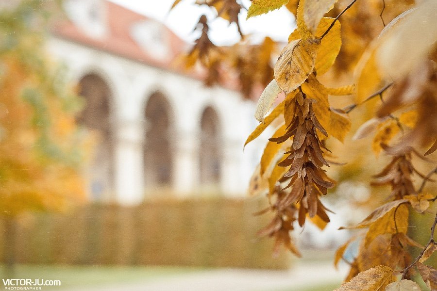 Осенняя прогулка в Праге